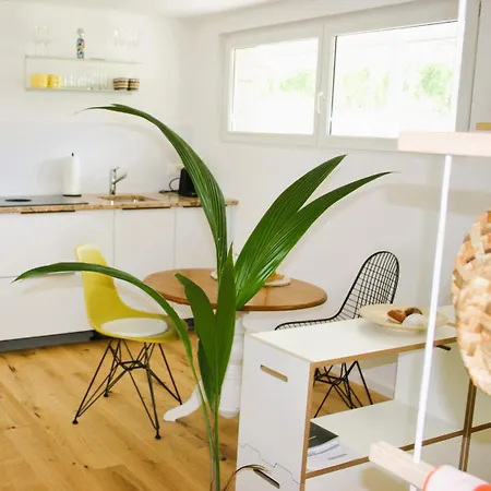 #studio 19 Apartament *